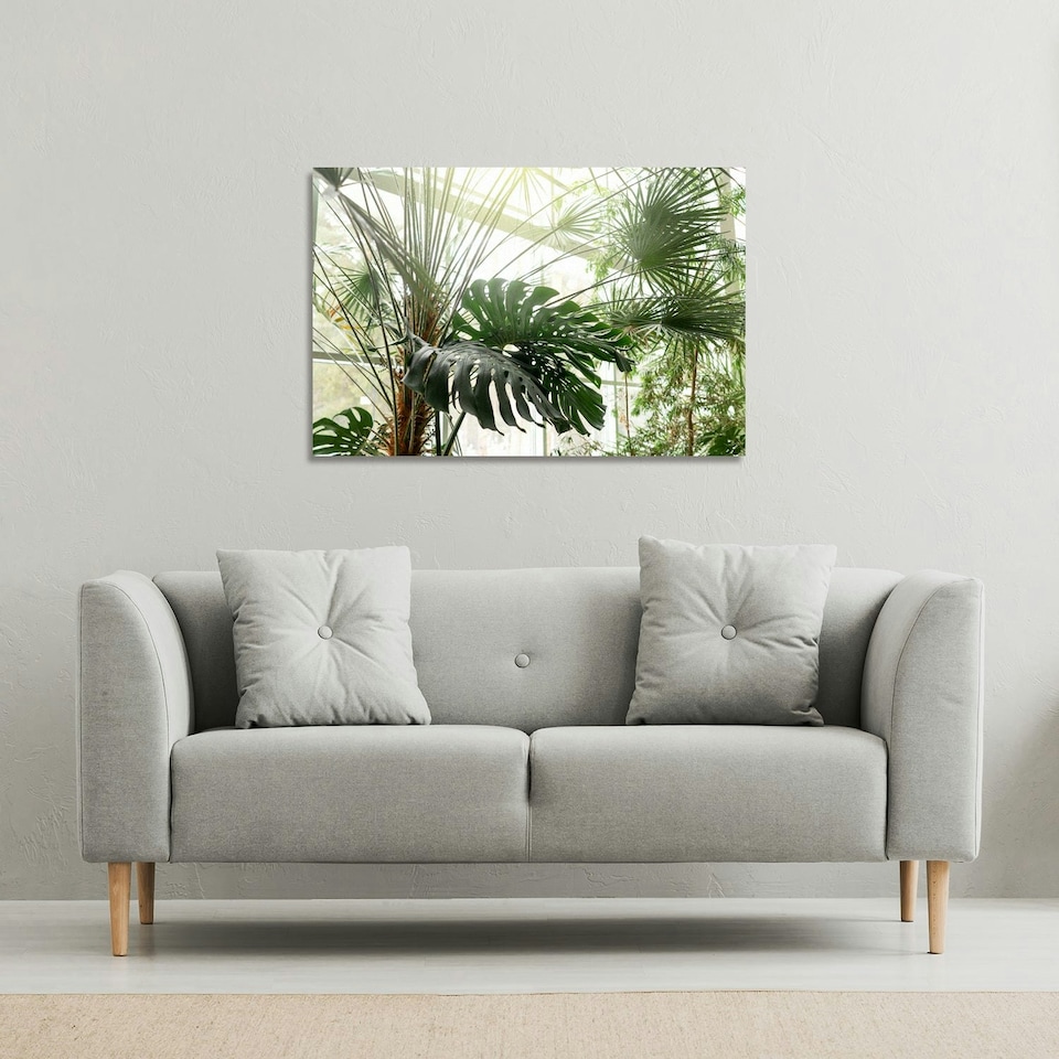 image 1 of Green plants in botanical garde (Canvas Print) 77 x 51 x 4cm