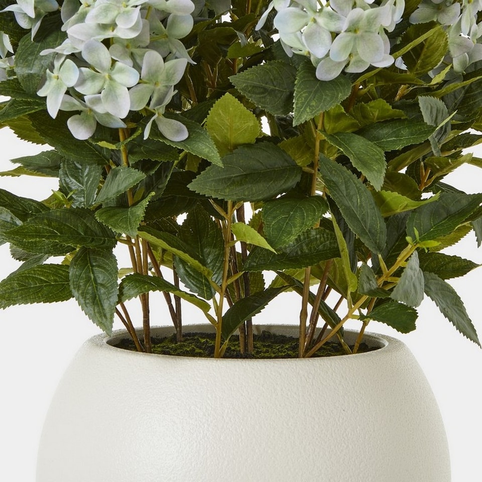 image 1 of Large Hydrangea Plant in Pot - Plastic - L55 x W55 x H71 cm - Green