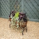 image 3 of Regal 600 Planter - Solid Steel - L30 x W60 x H76 cm - Black Brown