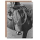 image 1 of Russell Lee Cowboy Regalia and Equipment Photograph Art Greeting Card