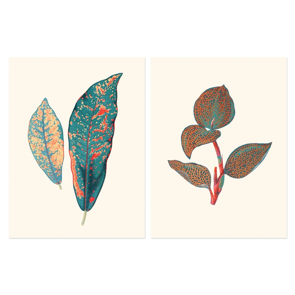 image 1 of Set of 2 Vintage Botanical Fauna Coral Pink Teal Blue Plant Leaves Wall Art Prints 12x16 Inch