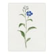image 1 of Blue Flower Wall Art Print Vintage Japanese Botanical 12x16"