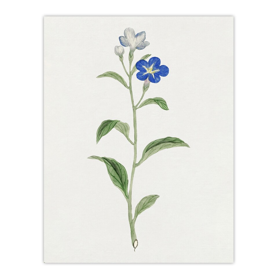 image 1 of Blue Flower Wall Art Print Vintage Japanese Botanical 12x16"