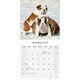 image 3 of Bulldog 2026 Calendar | Square Wall Calendar | Dog Breed Gift | Plastic Free Packaging | by Avonside Publishing