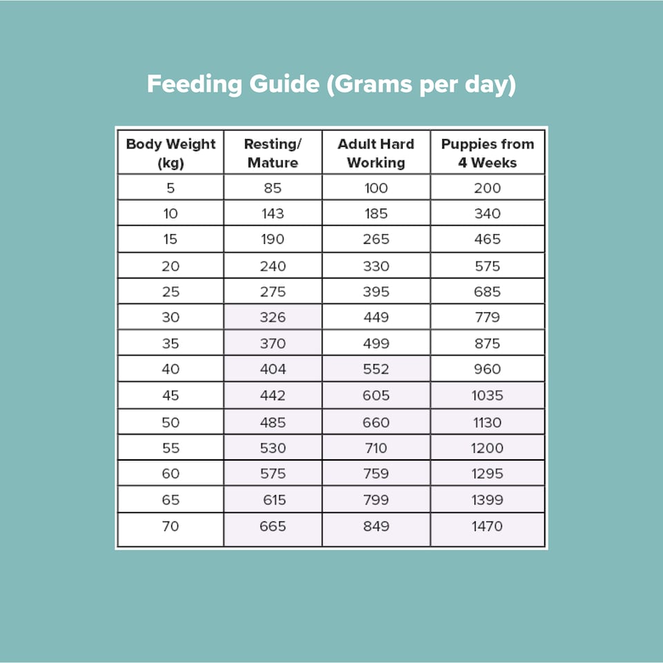 image 1 of Pero Cold Pressed Dog Food - 80/20 Duck | Brown | 5kg | Duck | 1