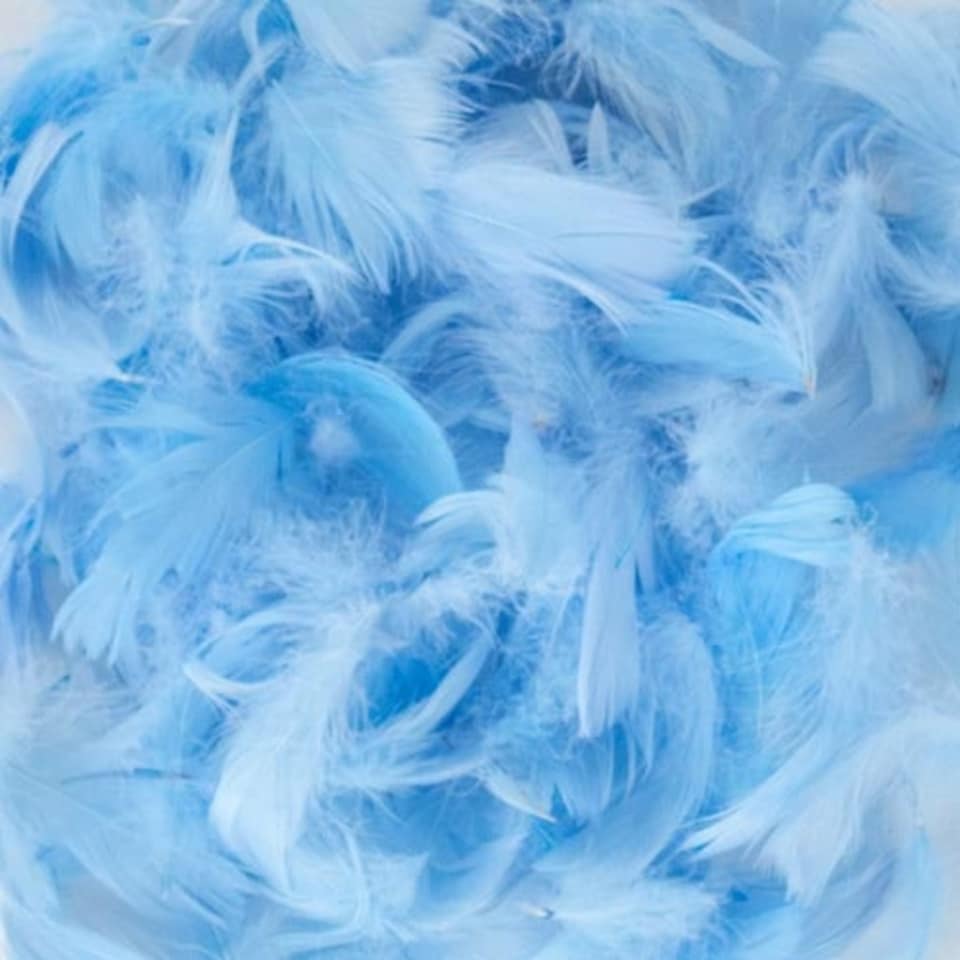 image 1 of Assorted Easter Decorative Feathers 20g