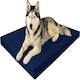 image 1 of Large Dog Pet Bed Mat Water Resistant Removable Cover 5cm Thick Mattress Blue | Blue | Navy Blue | L