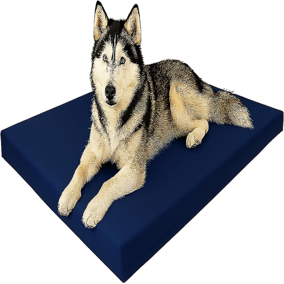 image 1 of Large Dog Pet Bed Mat Water Resistant Removable Cover 5cm Thick Mattress Blue | Blue | Navy Blue | L
