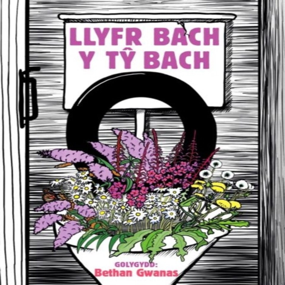 Llyfr Bach Y T Bach