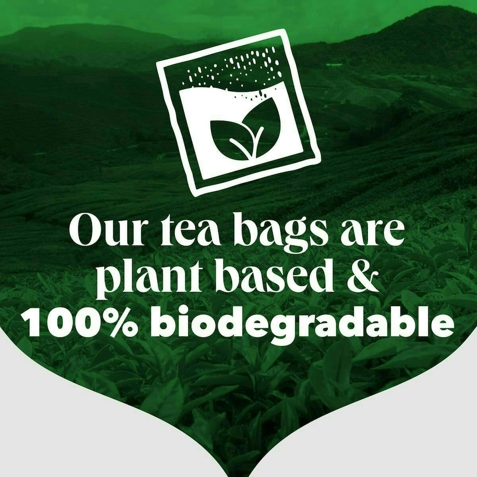 image 1 of PG Tips Original | Black Tea Bags Bulk | One Cup | Refreshing & Flavourful | Ideal For Office Catering | 1100 Plant Based Biodegradable Square Teabags