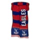 image 1 of Crystal Palace FC Show Your Colours Door Sign - Red/Royal Blue/White - One Size