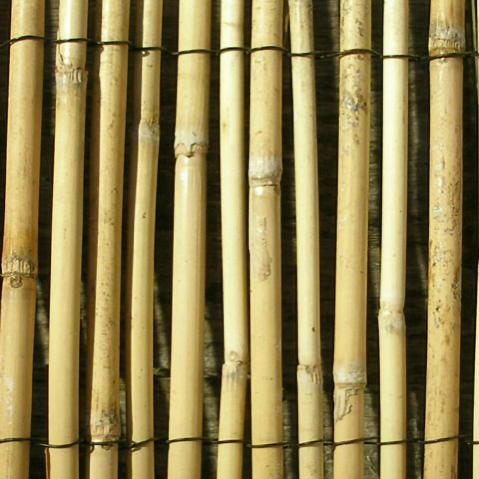 image 1 of Natural Screening Roll Privacy Peeled Reed Wind Sun Protection 3m x 2m Primrose