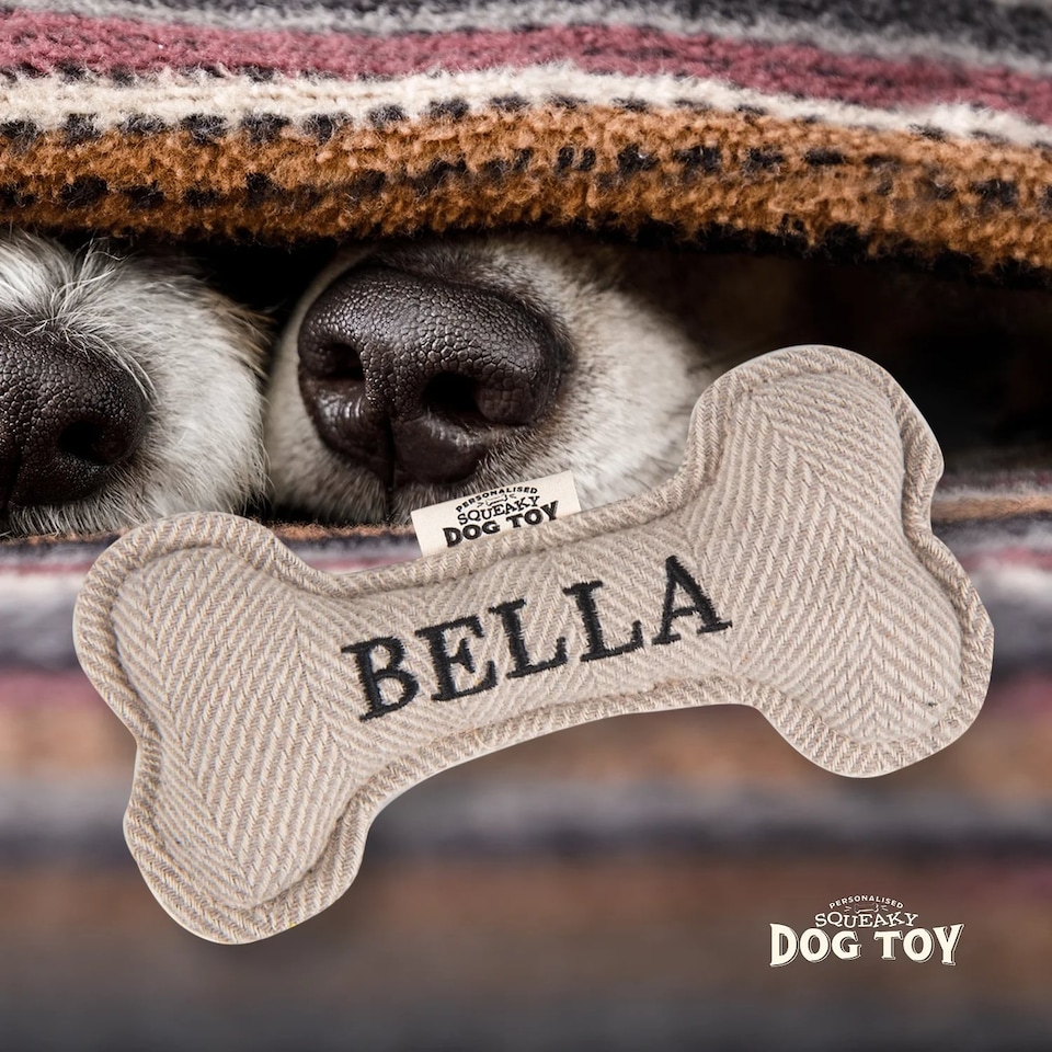 image 1 of History & Heraldry Pre-Personalised Squeaky Bone Dog Toy - Bella