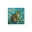 Tabby Cat
