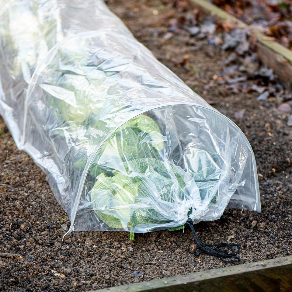 image 1 of Garden Gear PE Greenhouse Tunnel x 3 | Clear | 3