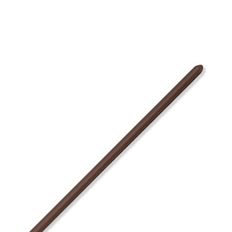 image 1 of Shires Leather Horse Show Cane - Brown - 24in