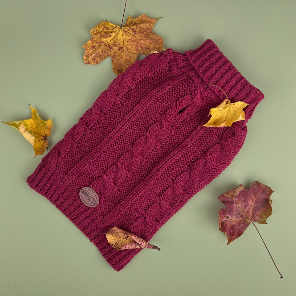 image 1 of HugglePets Legacy Cable Knit Dog Jumper Red | XS
