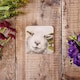 image 1 of Lucy's Farm Sheep at Milton Abbas Melamine Coaster
