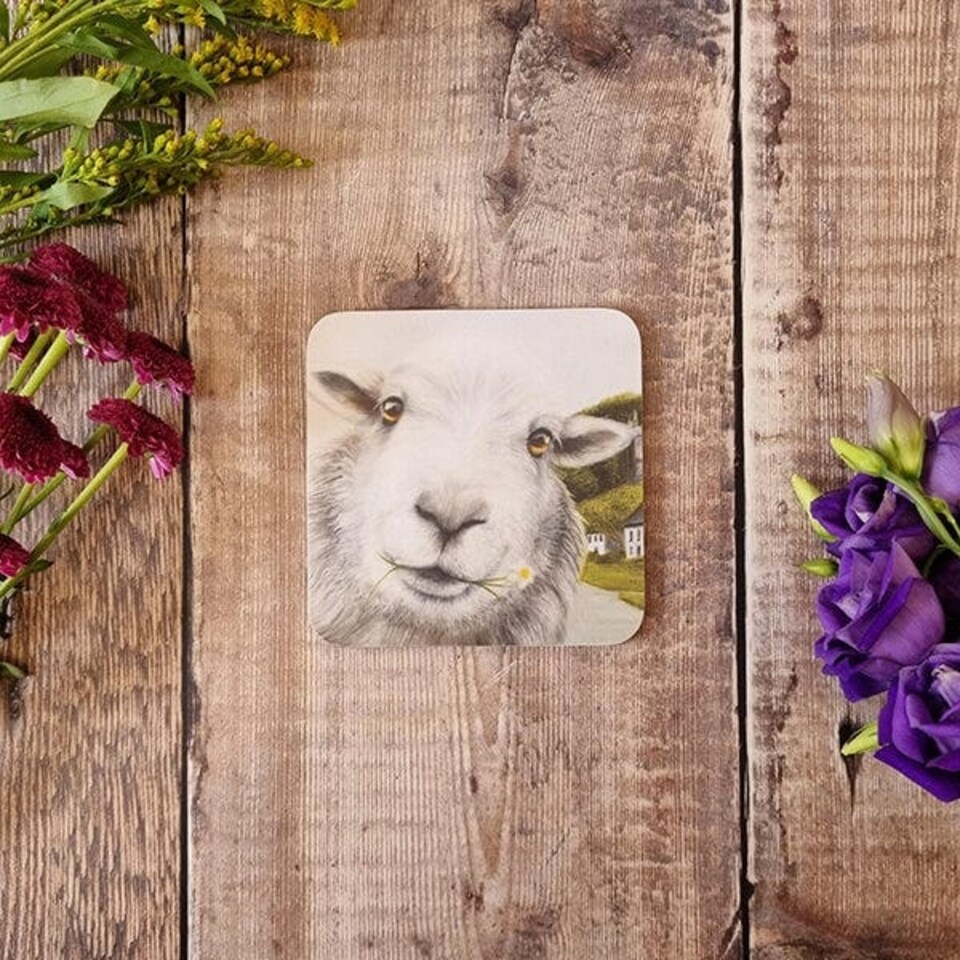 image 1 of Lucy's Farm Sheep at Milton Abbas Melamine Coaster