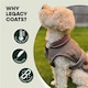 image 5 of HugglePets Legacy Herringbone Dog Coat | Multi | M