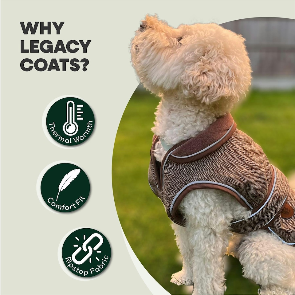 image 1 of HugglePets Legacy Herringbone Dog Coat | Multi | M