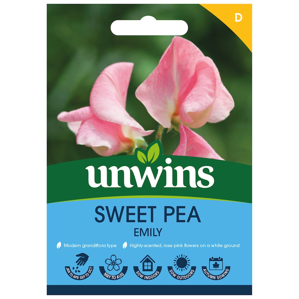 image 1 of Sweet Pea Emily | Multi | Rose pink | Flower Seeds | 1