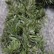 image 10 of 45cm Plain Green Colorado Christmas Door Wreath with PVC Tips