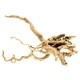 image 9 of Aqua One Azalea Root / Spider Wood Multi