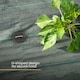 image 3 of 50 Weed Membrane Pegs with Tool