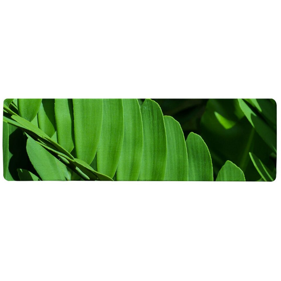 image 1 of Natural dark green leaves, long slender green leaves Designer (Runner Rug)