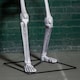 image 9 of 5ft (1.5m) Full Body Halloween Standing Skeleton with Posable Joints & Red LED Eyes