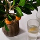 image 3 of OHS Home Decor Artificial Orange Tree In Pot Plant, 40cm - Orange