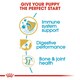 image 3 of Royal Canin Dog German Shepherd Puppy - 3KG
