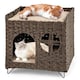 image 1 of COSTWAY Foldable 2-tier Rattan Cat House Wicker Kitten Condo With  Elevated Perch