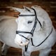 image 10 of LeMieux Competition Flash Bridle Black | X-Full