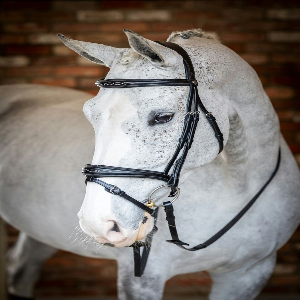 image 1 of LeMieux Competition Flash Bridle Black | X-Full