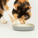 image 2 of Scruffs Classic Pet Saucer 13cm Grey | Grey | 1