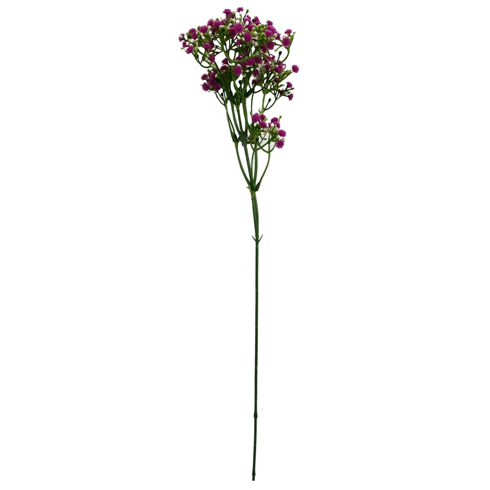 image 1 of 55cm Gypsophila Pink Stem