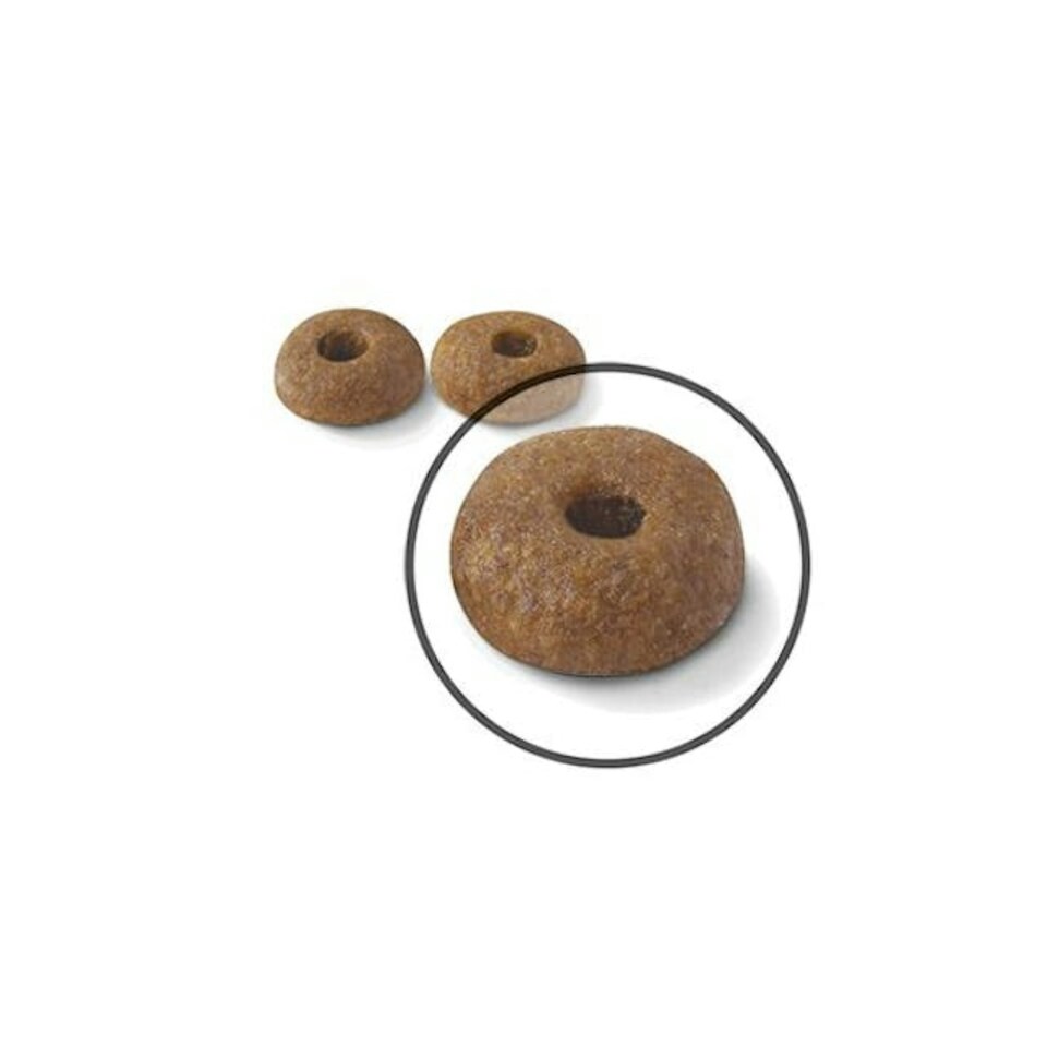 image 1 of Royal Canin Cat Food Digestive Care 2 KG