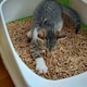 image 3 of Warma Wood Pellets Cat Litter - 40L