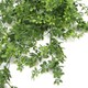 image 3 of Hanging UV and Fire Resistant Artificial Forest Foliage Plant 81cm