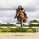 image 6 of LeMieux Puissance Fly Hood Black | Medium