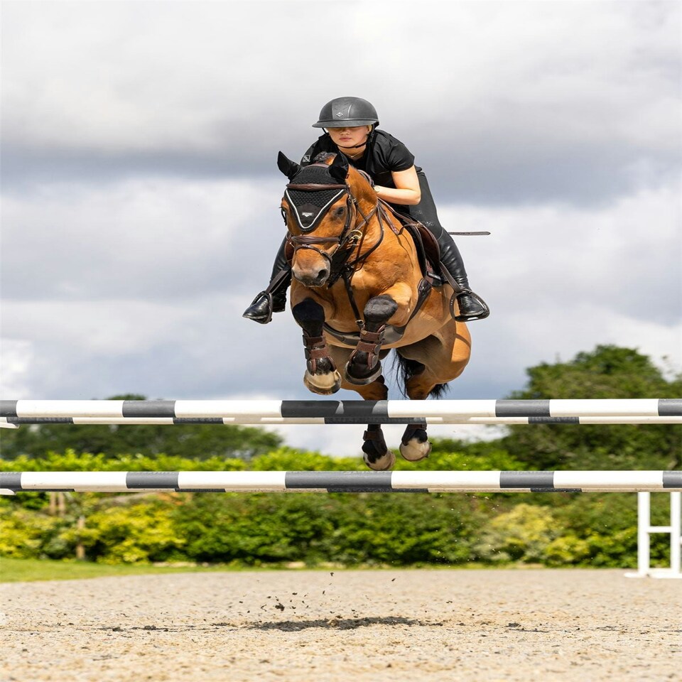 image 1 of LeMieux Puissance Fly Hood Black | Medium