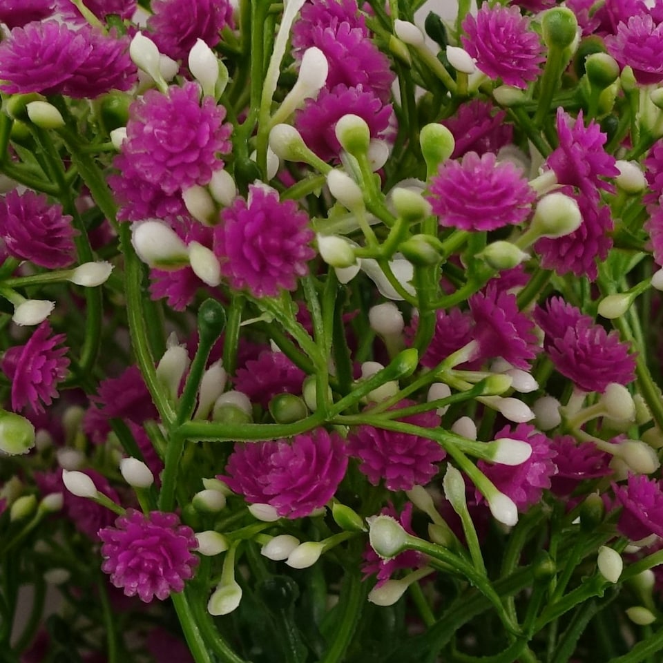 image 1 of 55cm Gypsophila Pink Stem