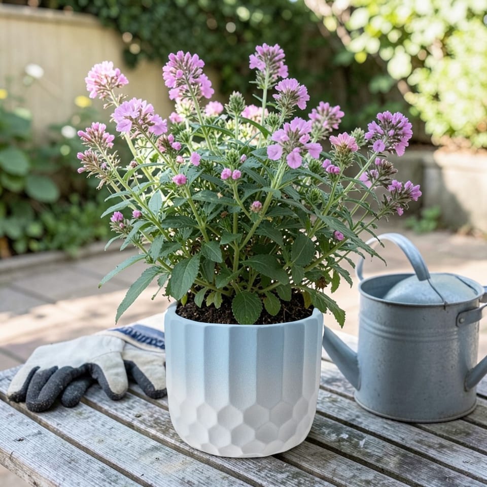 image 1 of Ceramic Geometric Ombre Blue and White Indoor Plant Pot