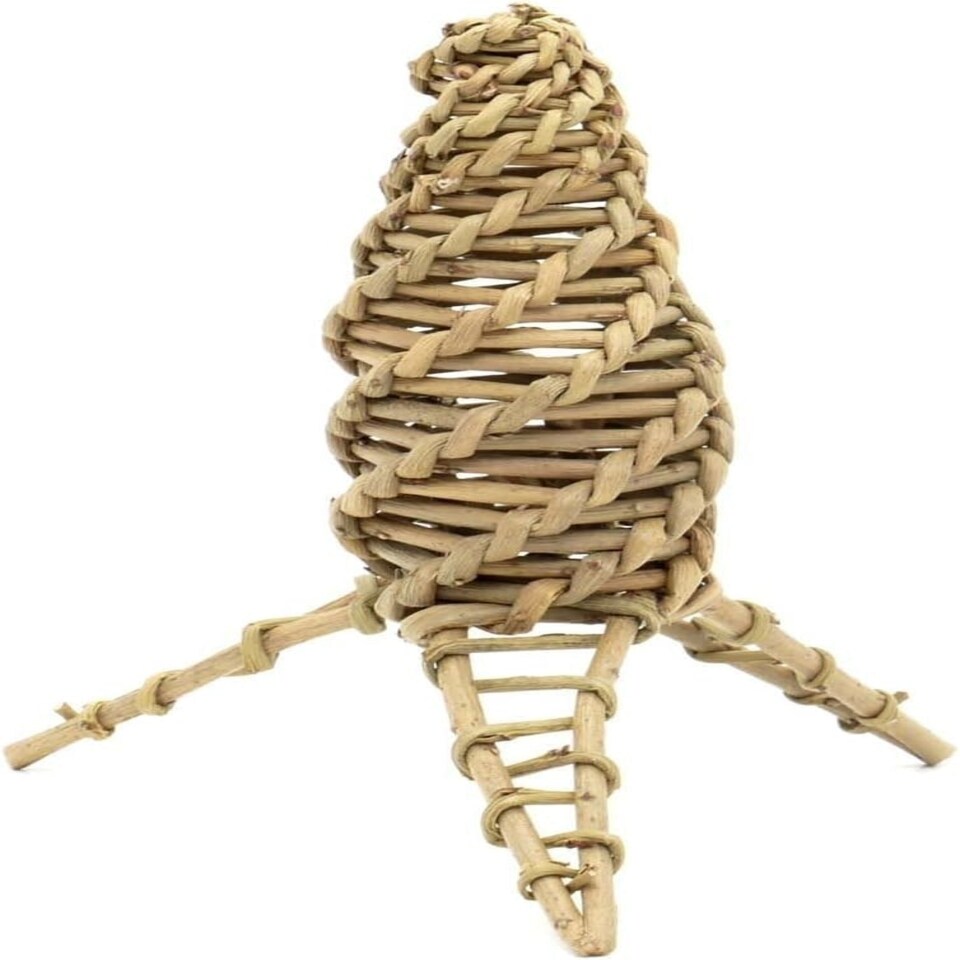 Happypet Willow Carrot 17X10X4.5