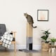 image 8 of PawHut 79cm Jute Scratcher Climber with Toy, Self Grooming Brush, Grey
