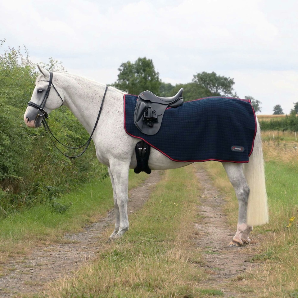 image 1 of Hy DefenceX System Cool Control Horse Exercise Sheet - Navy/Red - 5´