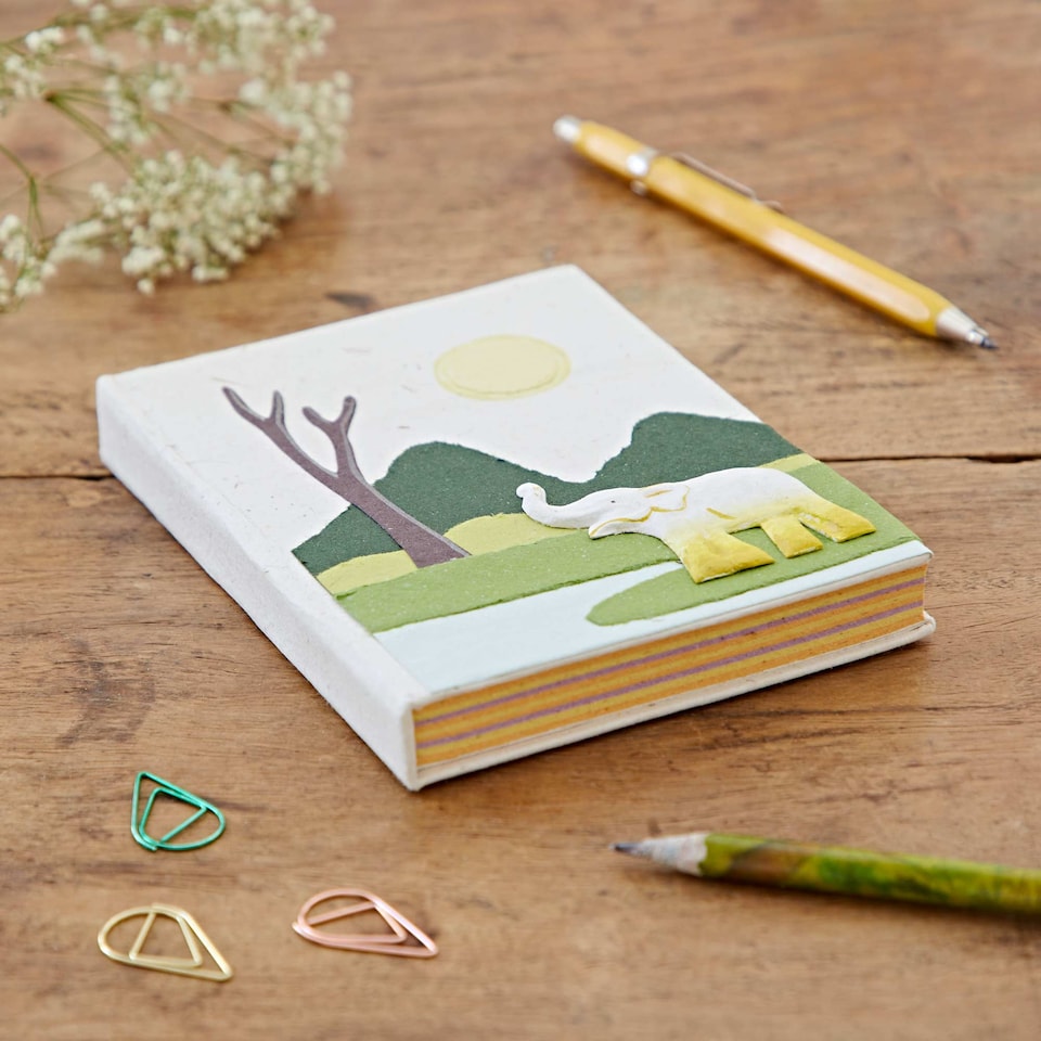 Medium Colourful Elephant Dung Notebook