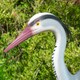 image 8 of Pisces Decoy Heron Pond and Garden Deterrant